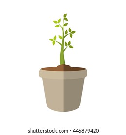 Nature concept represented by green plant and pot icon. isolated and flat illustration 