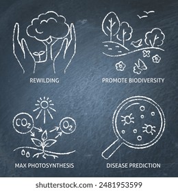 Nature conservation and protection icon set on chalkboard. Biodiversity, rewilding symbols. Vector illustration.