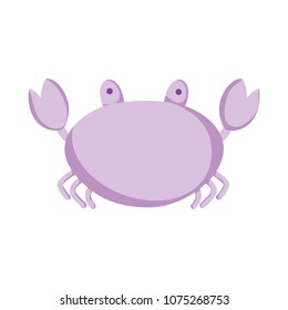 nature crab tropical animal of sea
