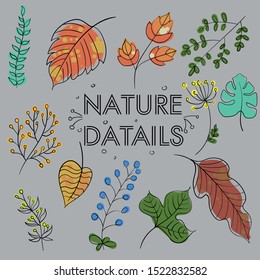 nature datails line art hand draw
