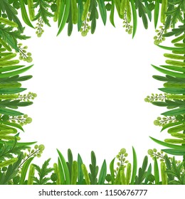 Nature decor invitation, celebration, greeting card, poster and banner template from meadow flowers. Greenery square frame decoration for wedding, fesival and event. Botanical art.