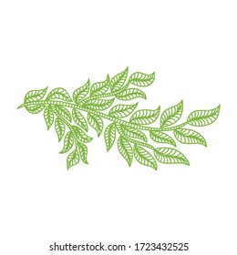 Nature decorative element of leaves. Vector illustration