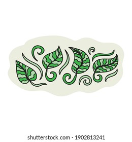 Nature decorative element of leaves. Vector illustration