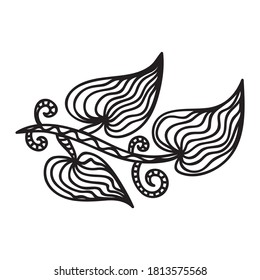Elementos decorativos de la naturaleza. Ilustración del vector