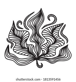 Elementos decorativos de la naturaleza. Ilustración del vector