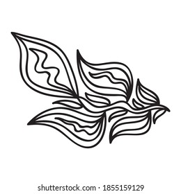 Nature decorative element. Vector illustration