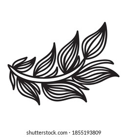 Elementos decorativos de la naturaleza. Ilustración del vector