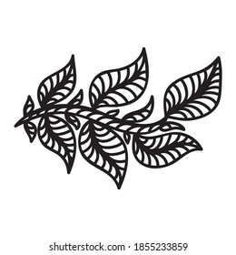 Elementos decorativos de la naturaleza. Ilustración del vector