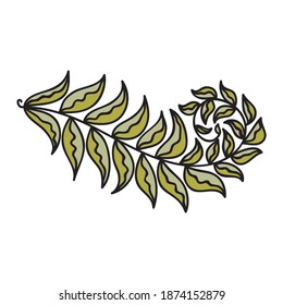 Elementos decorativos de la naturaleza. Ilustración del vector