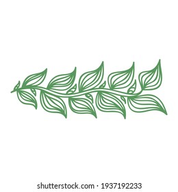 Nature decorative element. Vector illustration