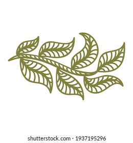 Nature decorative element. Vector illustration
