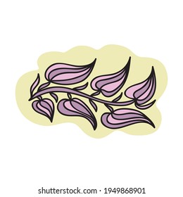 Elementos decorativos de la naturaleza. Ilustración del vector