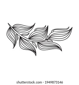 Nature decorative element. Vector illustration