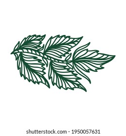 Nature decorative element. Vector illustration