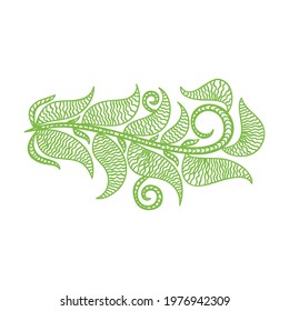 Nature decorative element. Vector illustration