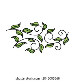 Elementos decorativos de la naturaleza. Ilustración del vector