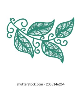 Nature decorative element. Vector illustration