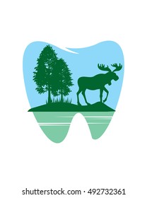 Nature dental