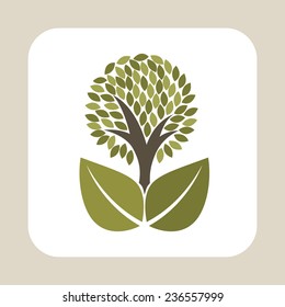 nature design