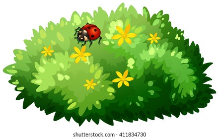 Nature design with bush and bug illustration