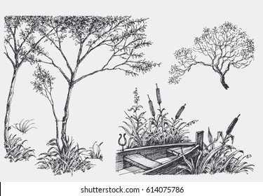 Nature design elements, trees, boat, vegetation drawings