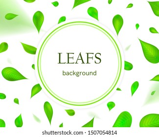Nature design with flying leafs. Circe in the middle with green frame, in white isolated background.