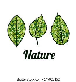 nature design over white background vector illustration 