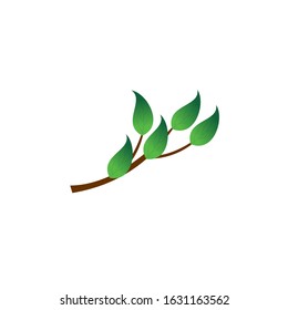 nature design with shades of green leaves and twigs