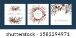 Nature design square greeting cards template, circle frame, text Winter Holidays, Warm Wishes, Merry Christmas, white background. Green pine, fir twigs, cones, red berries. Vector xmas illustration