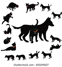 The nature of the dog and cat