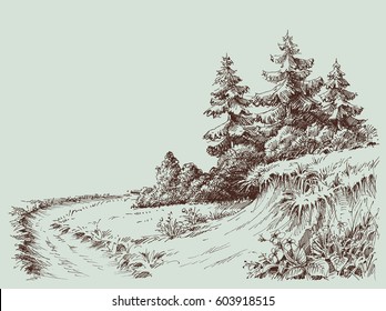 Nature drawing, a path in the pine forest