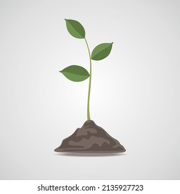 nature earth plants growth fertile soil