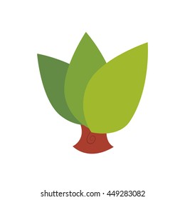 Nature and eco concept represented by tree icon. isolated and flat illustration 