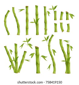 Nature eco pictures of bamboo tree. Jungle wood. Vector green bamboo tree, stem with leaf illustration