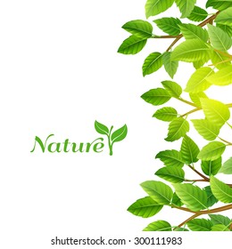 Nature eco planet clean energy sources green leaves trees branches ecological  background poster print abstract vector illustration