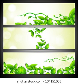 Nature and Eco website header or banner set.