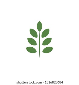 Nature and ecology