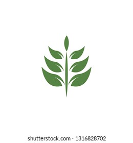 Nature and ecology
