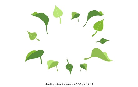 Moldura ecologia da natureza mockup da folhagem verde, Vetor botânica elementos isolados no fundo branco, mão desenhada folhas planas de chá, manjericão, limão ou arbusto lilás, modelo de folha com espaço em branco para o texto