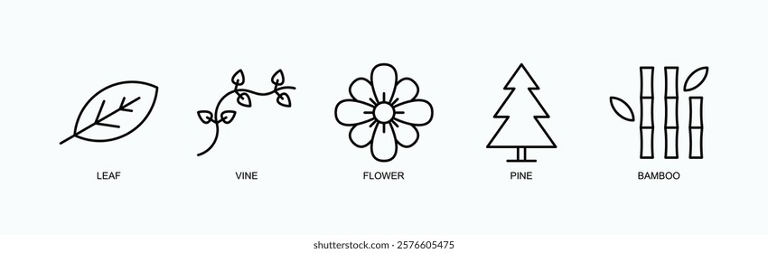 Nature Elegance Icon Set Isolated Vector With Icon Of Leaf, Vine, Flower, Pine, Bamboo In Outline Style