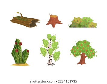 Nature Element with Birch, Fruit Tree, Stump, Log, Bush and Cactus Vector Set