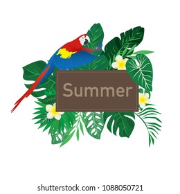 nature element of the summer