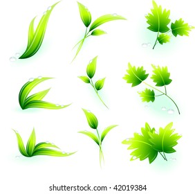  	nature elements and leaves set