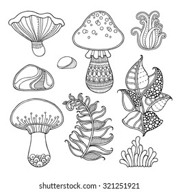 Nature elements vector set in doodle style. Floral, ornate, decorative, tribal, forest design elements. Black and white illustration. Grass, mushrooms, leaves. Zentangle coloring book page