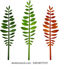 Nature fall yellow leaf autumn leaves seasonal forest symbols. Collection beautiful colorful autumn leaves. Eps 10