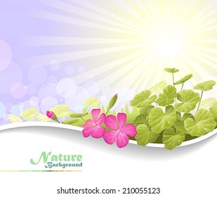 Nature Fantasy: Gorgeous plants under bright sunlight and on a breezy land 