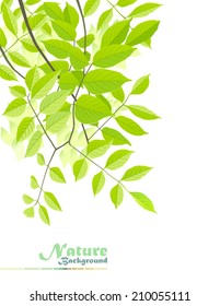 Nature Fantasy: Peaceful leaves of tranquility  