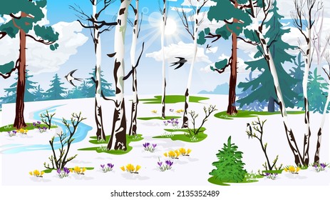 las estaciones de fauna de la naturaleza la primavera se derrite el riachuelo de la nieve primeras flores cruces de golosinas amarillas y púrpura pájaros. pinos de bosque mixto de abeto gotas de nieve rayos solares ecología aire limpio cuidado de la naturaleza