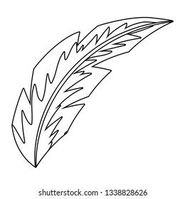 nature feather cartoon