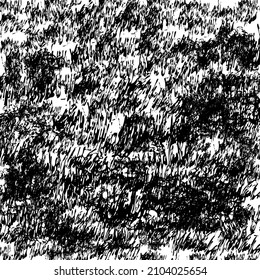 Nature field with grass, flowers at meadow. Summer landscape. Vintage vector black hatching hand drawn illustration